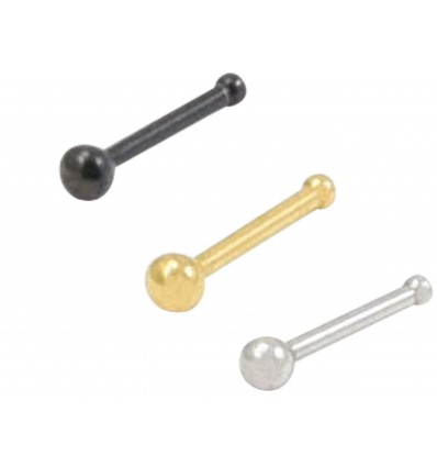 Nesestift