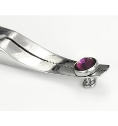 Dermal ankerholder