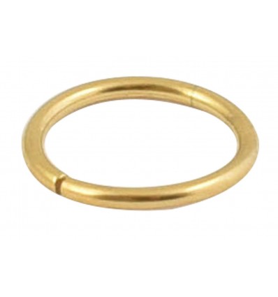 Næsering Guld