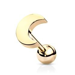 Piercing Stav med Halvmåne - Sort - Tragus Piercing - Kirurgisk stål 316L - Ørepiercing Smykker | Piercingfabrikken.dk
