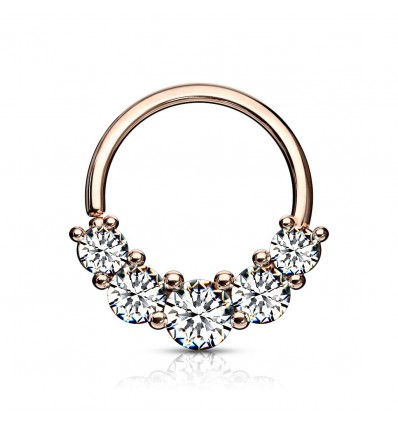 Piercing ring med 5 steiner