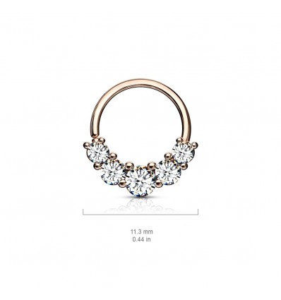 Piercing ring med 5 steiner