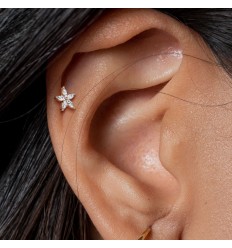 Labret med klar Marquise-blomst