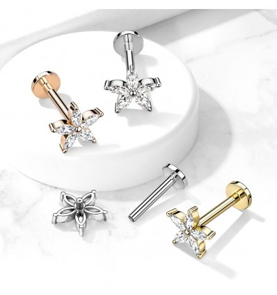 Labret med klar Marquise-blomst