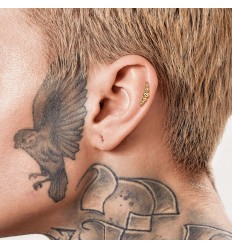 Labret i Titanium med 7 små Kugler