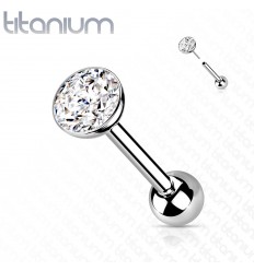 Piercing Stick med Push In Stone i titan