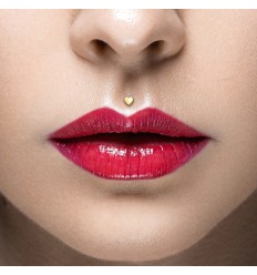 Labret i PTFE med 14 Karat Guld Hjerte