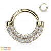 Piercing ring Oval steinkant