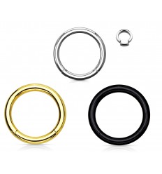 Segmentring