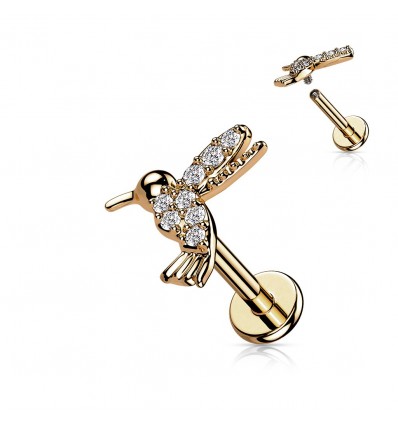 Labret med kolibri