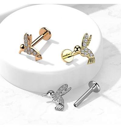Labret med kolibri
