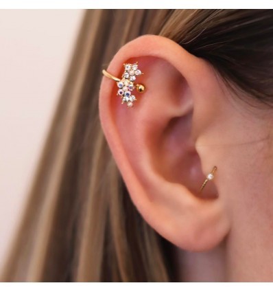 Guldpläterad öronband med kristallblommor