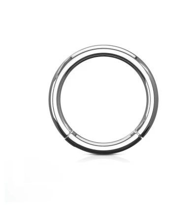 Segment Ring